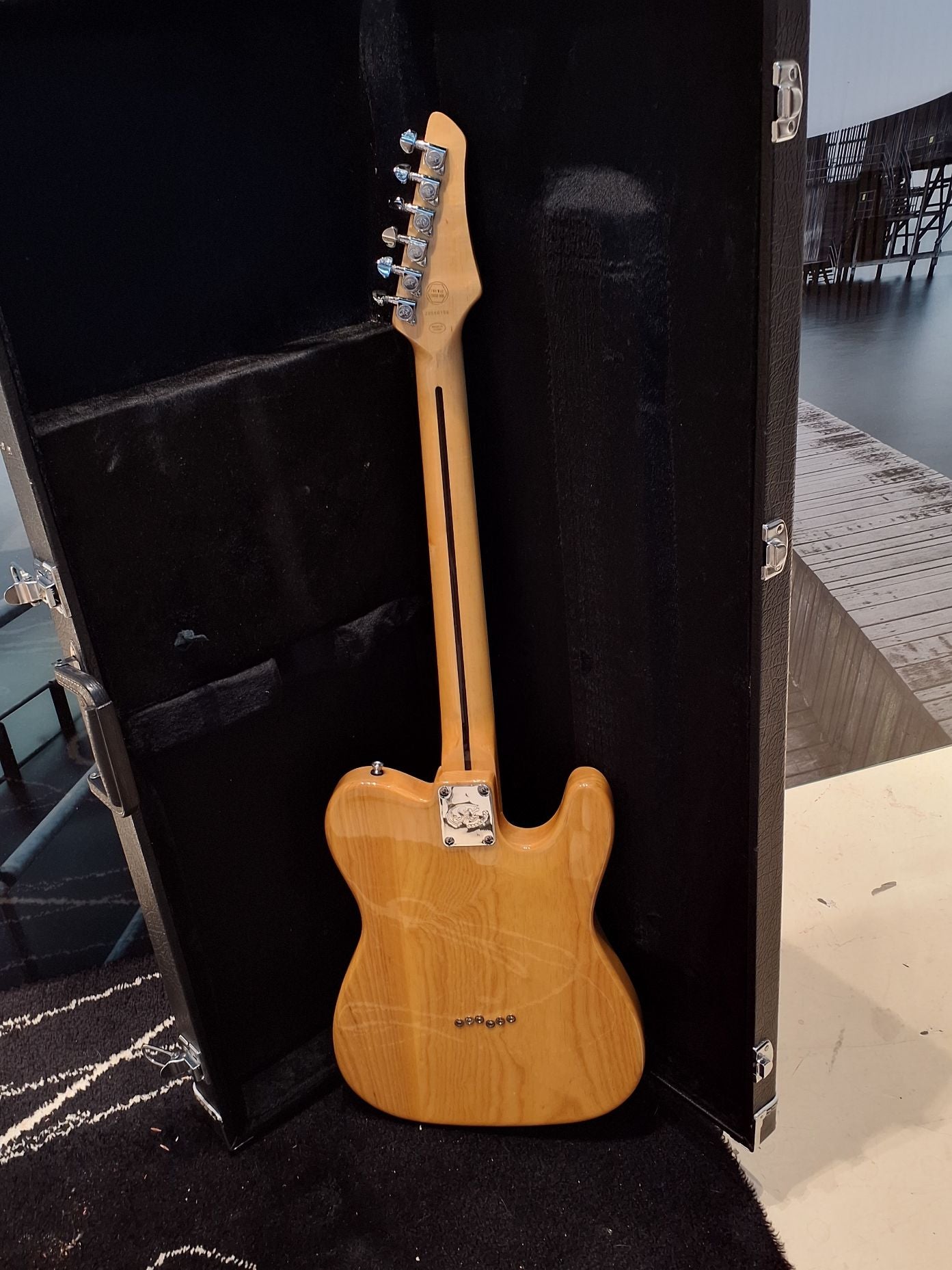 Guitar Eletric SX VTG